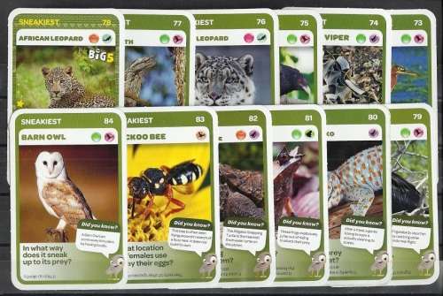 Other Antiques & Collectables - PICKnPAY SUPER ANIMAL CARDS - COMPLETE